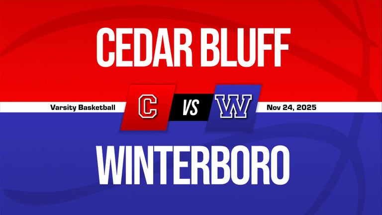 Video player poster image