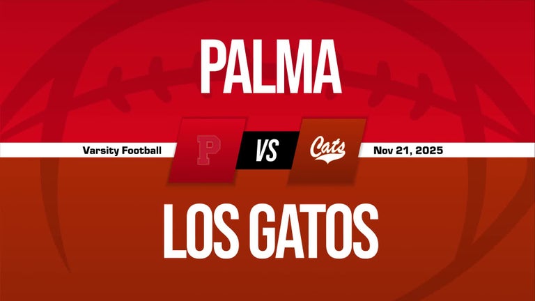 Video player poster image