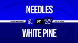01/24 Highlights vs Needles
