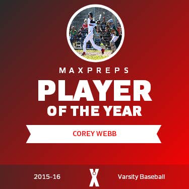 Player of the Year
