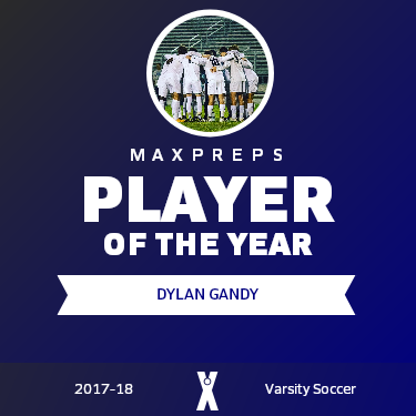 Player of the Year