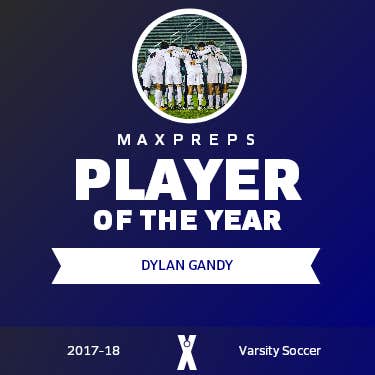 Player of the Year