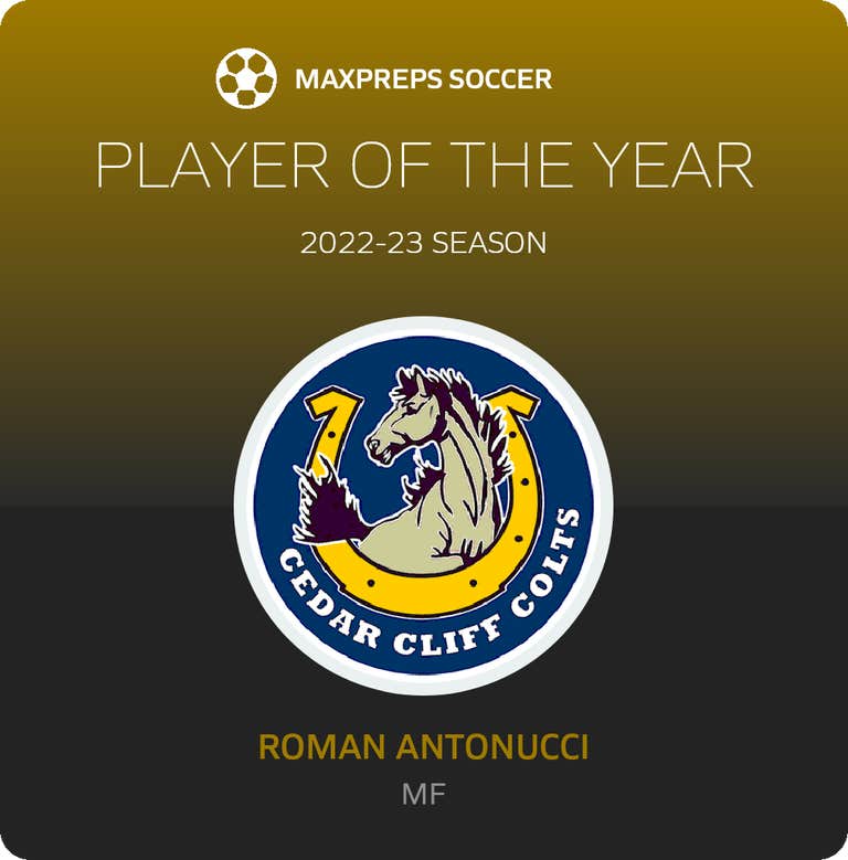 Player of the Year