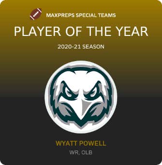 Player of the Year