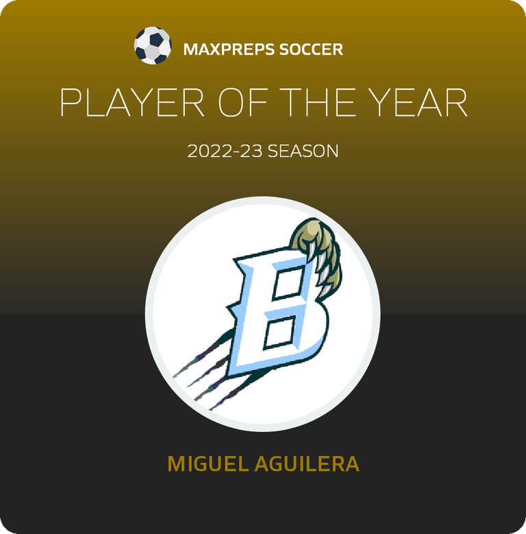 Player of the Year