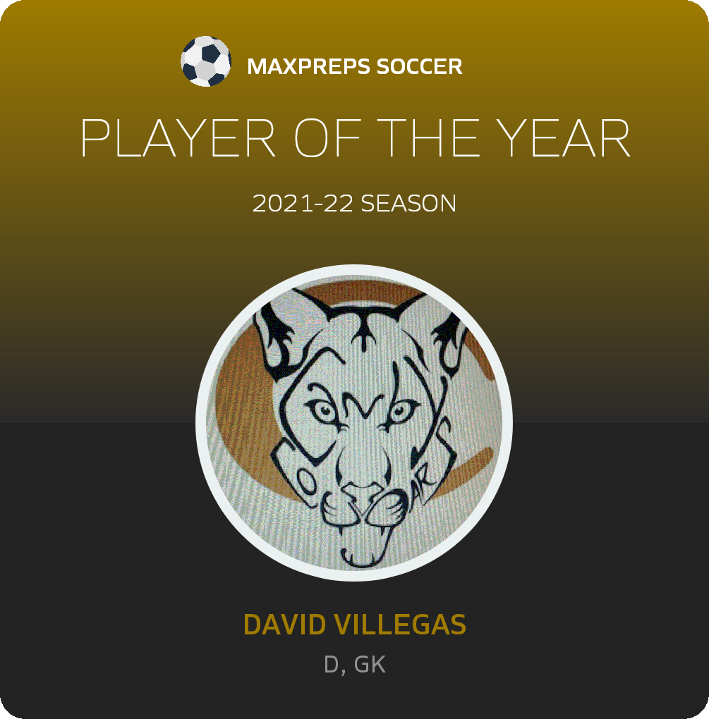 Player of the Year