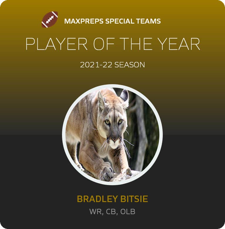 Player of the Year