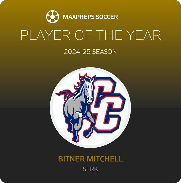 Player of the Year