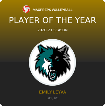 Player of the Year
