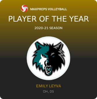 Player of the Year