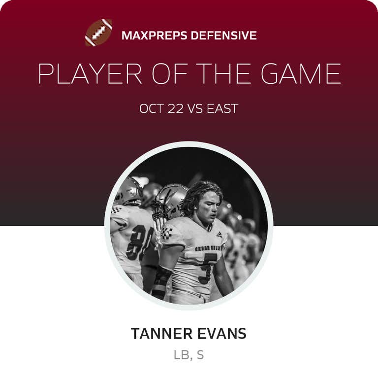 Player of the Game