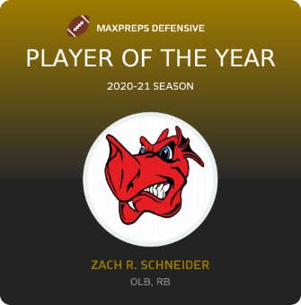 Player of the Year