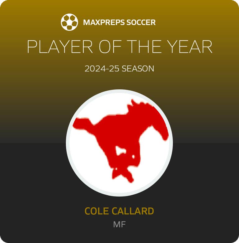 Player of the Year