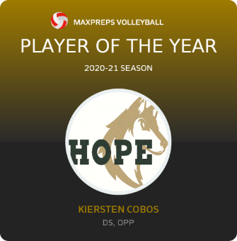 Player of the Year