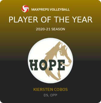 Player of the Year