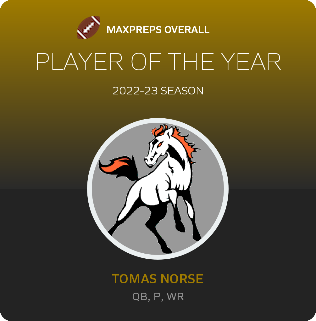 Player of the Year