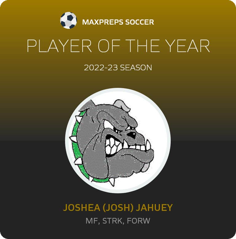 Player of the Year