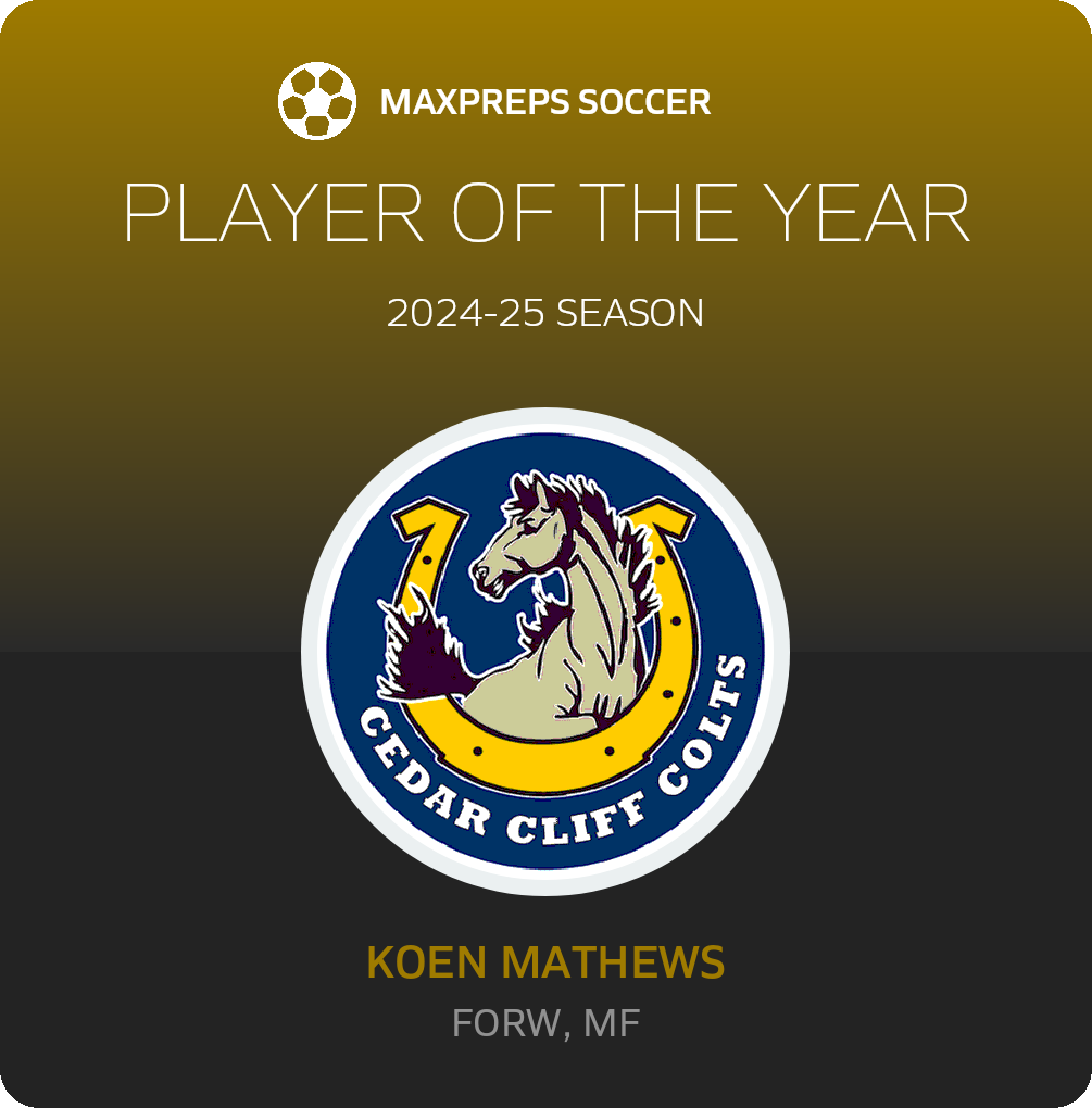 Player of the Year