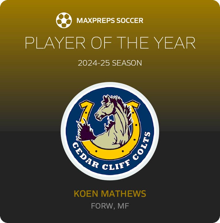 Player of the Year