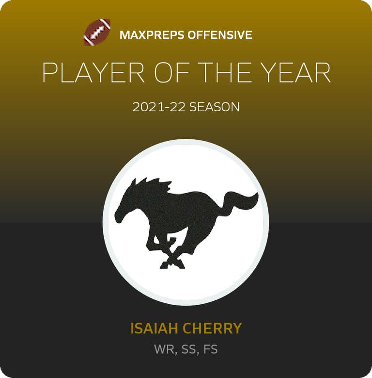 Player of the Year
