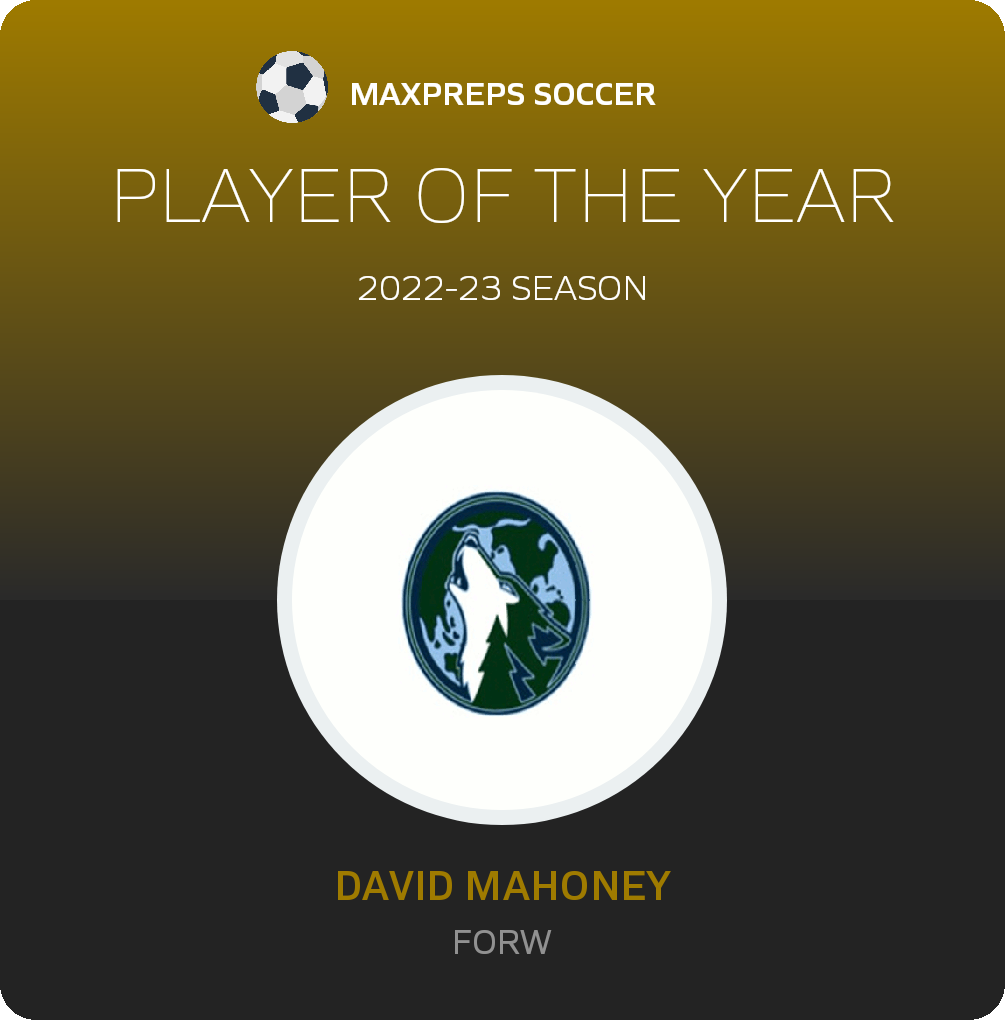 Player of the Year