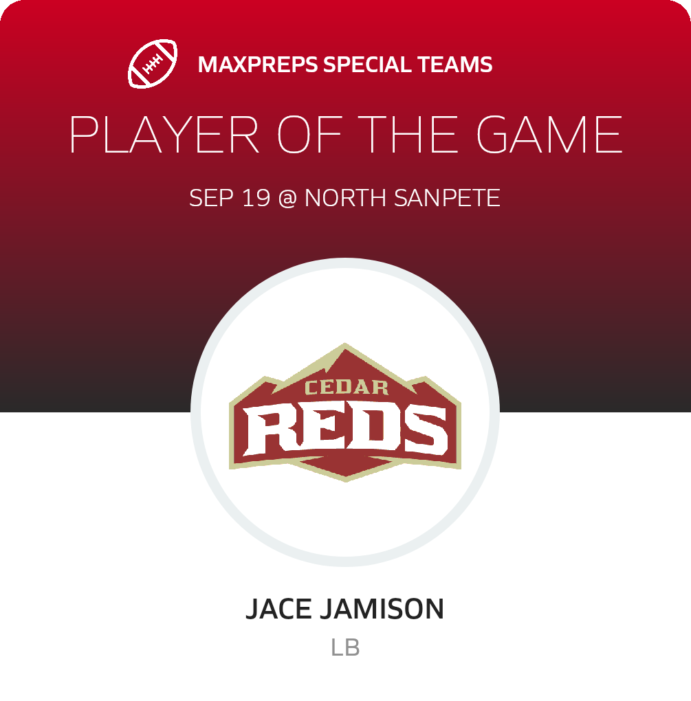 Player of the Game