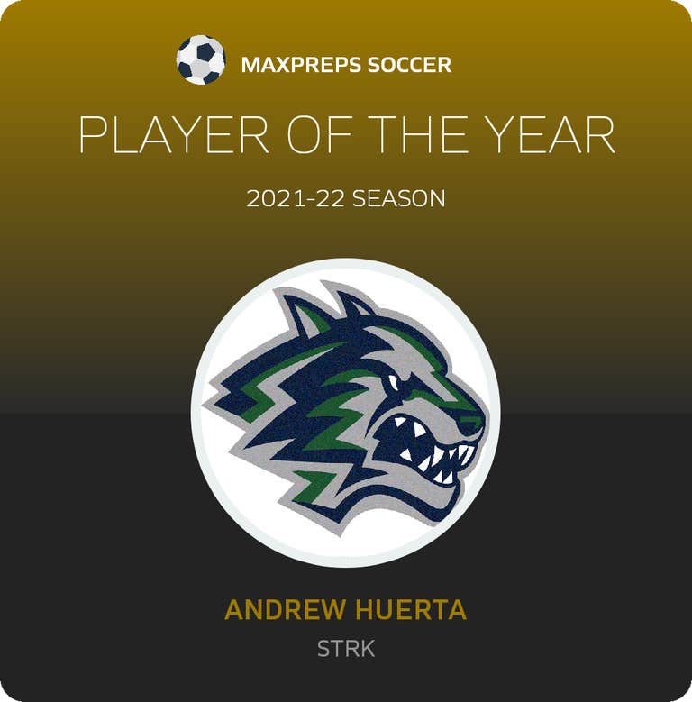 Player of the Year