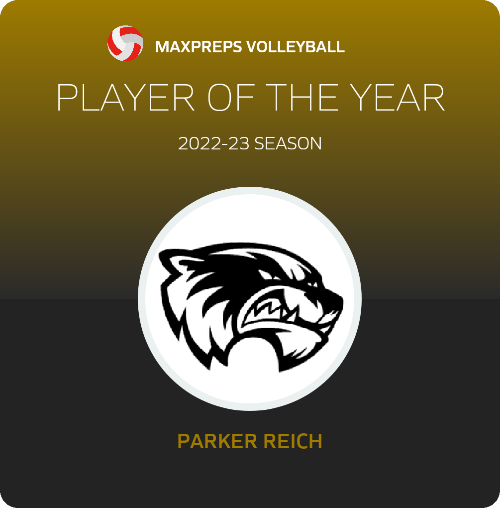 Player of the Year