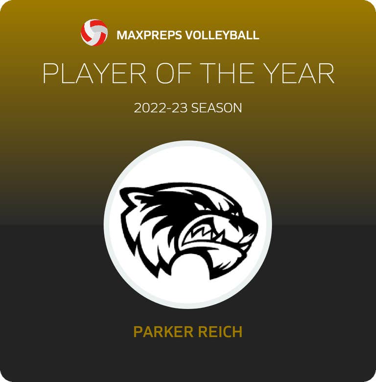 Player of the Year