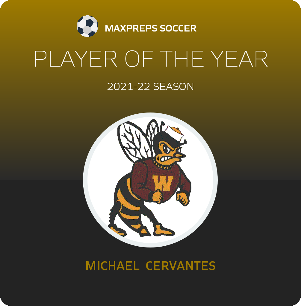 Player of the Year