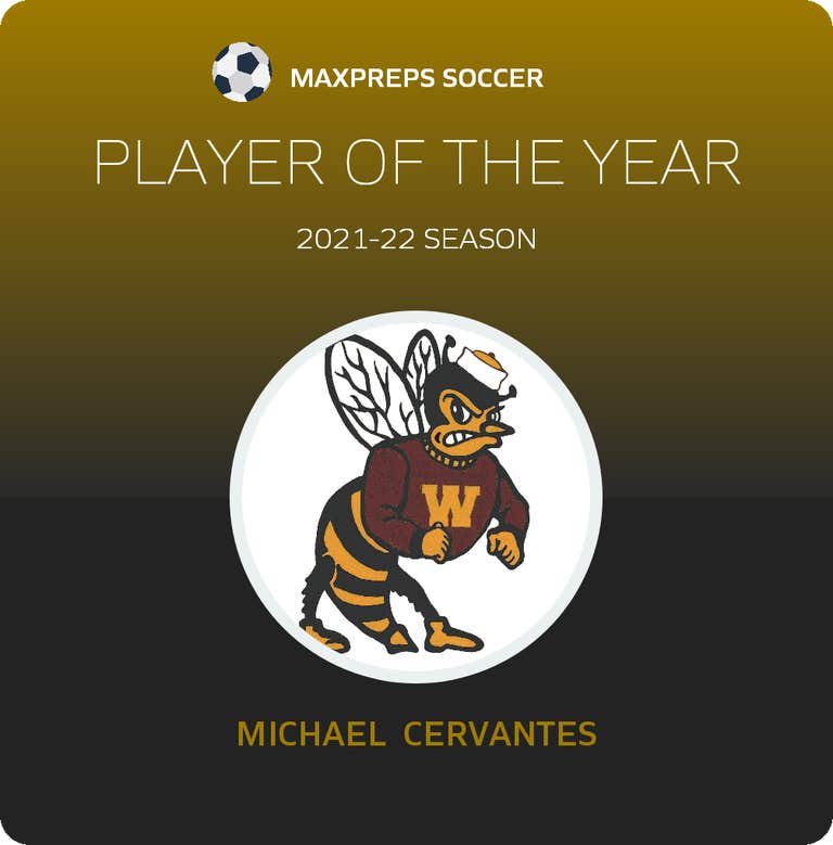 Player of the Year