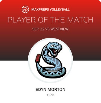Player of the Match