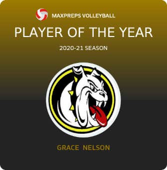 Player of the Year