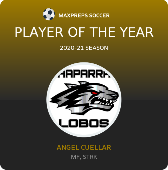 Player of the Year