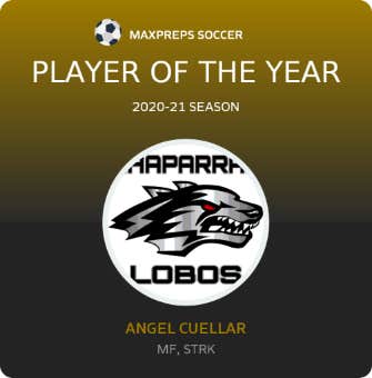Player of the Year