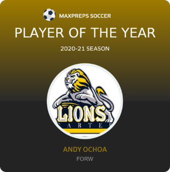 Player of the Year