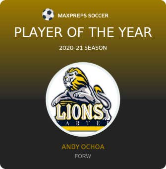 Player of the Year