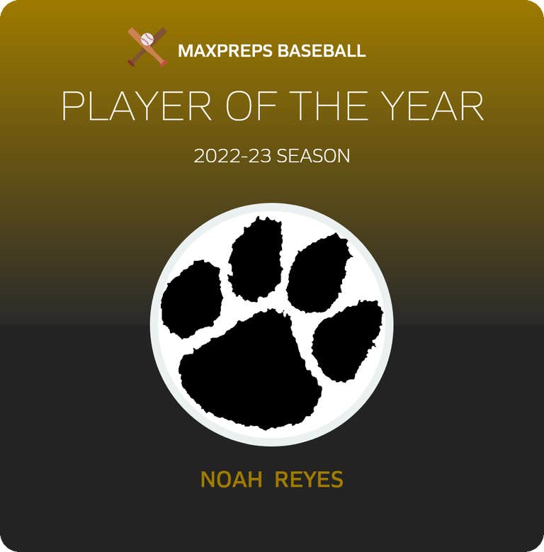 Player of the Year