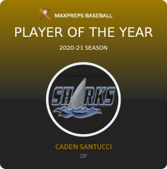 Player of the Year
