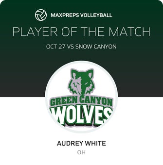 Player of the Match