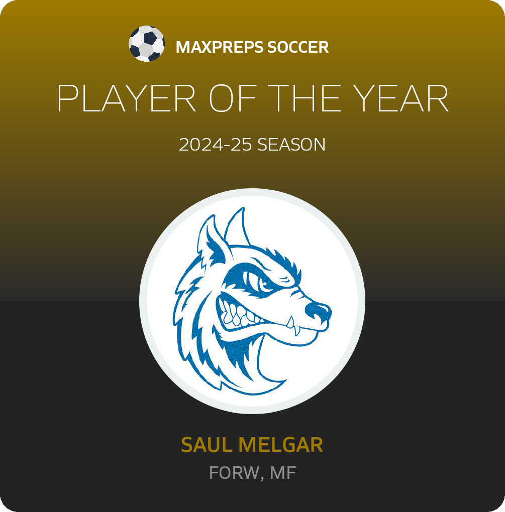 Player of the Year