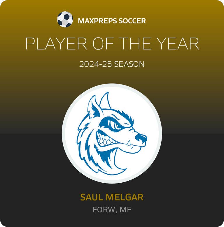 Player of the Year