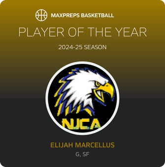 Player of the Year