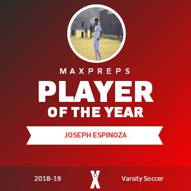 Player of the Year