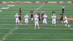 St. Vincent-St. Mary football highlights Walsh Jesuit High School