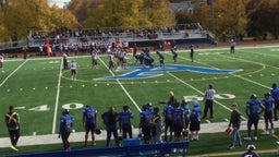 Albany football highlights Niskayuna High School