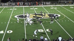 Ta'von Hicks's highlights Nettleton