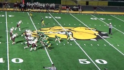 Williamstown football highlights Doddridge County High School