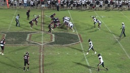 Anthony Bauer's highlights South Sumter