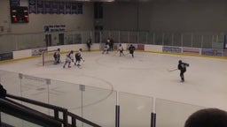 Sartell-St. Stephen girls ice hockey highlights vs. Rogers High School